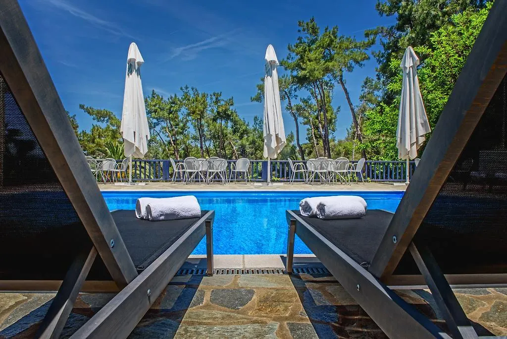 Leandros Hotel Nea Roda Greece