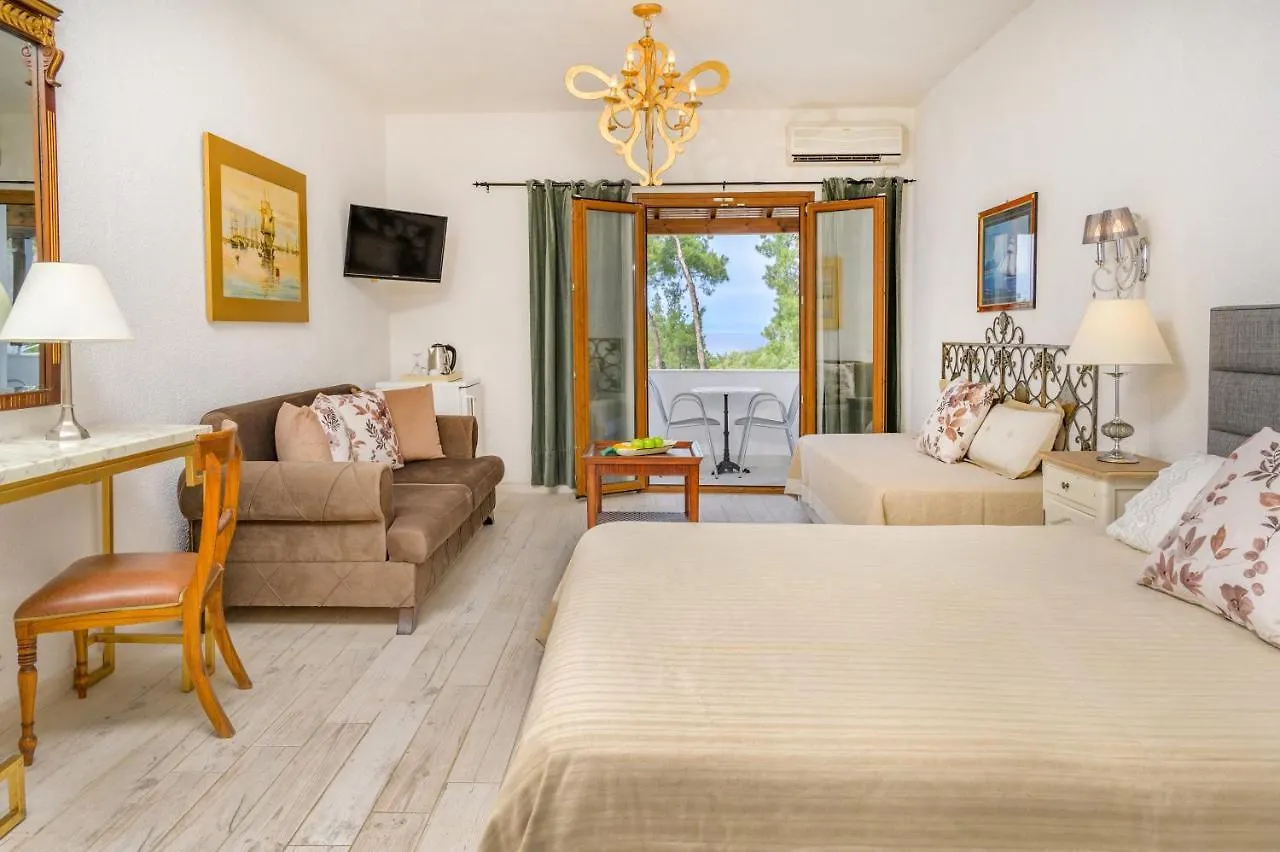 Leandros Hotel Nea Roda 3*,  Grèce