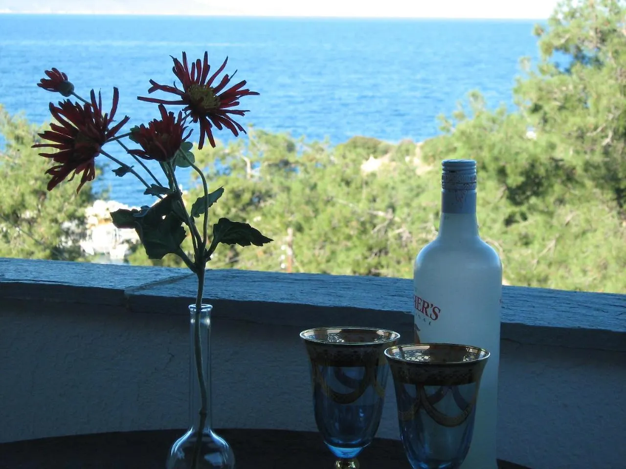 Leandros Hotel Nea Roda